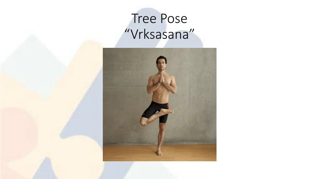 tree pose vrksasana