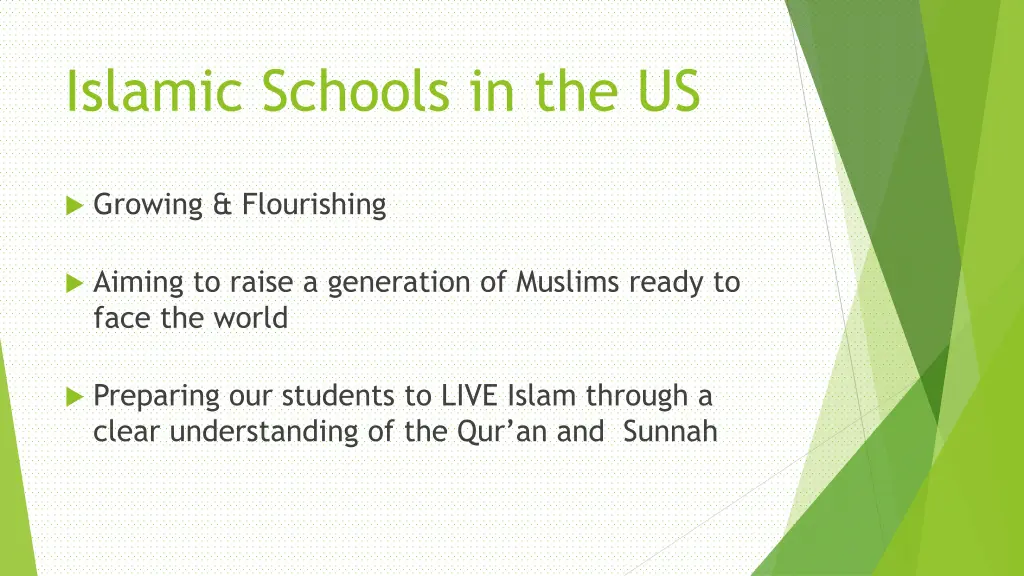 islamic schools in the us