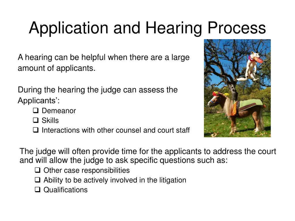 application and hearing process 2