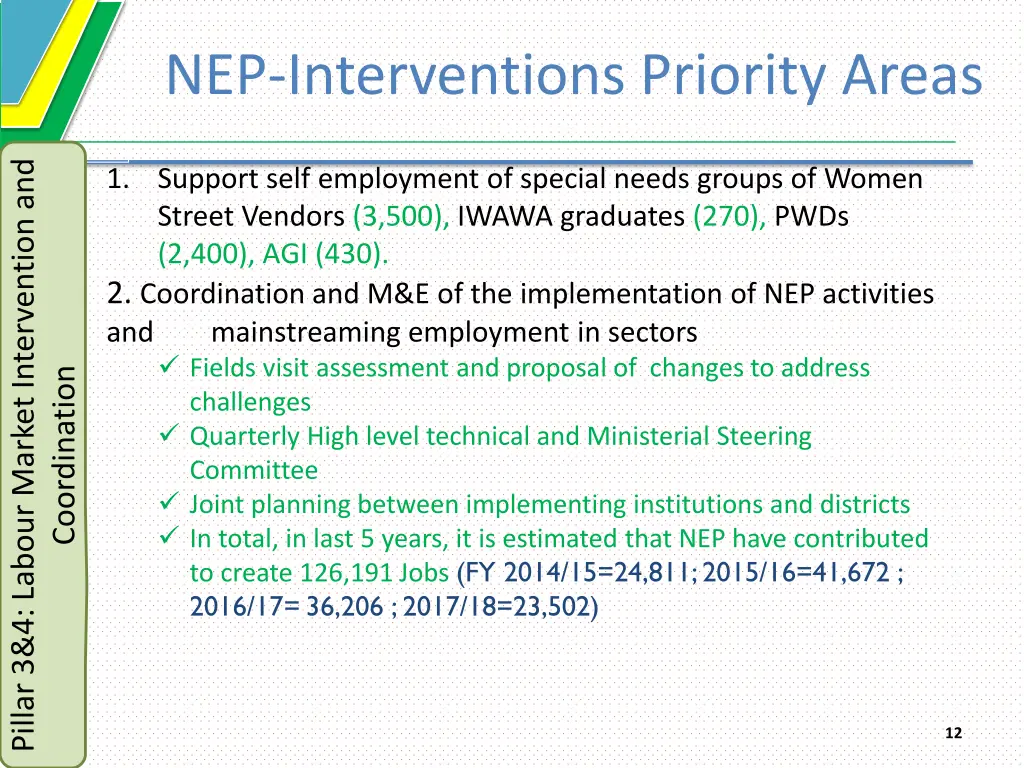 nep interventions priority areas 2