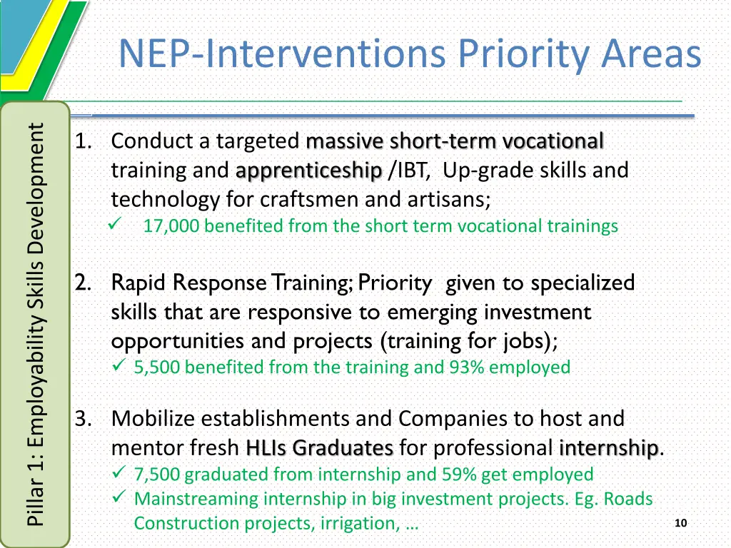 nep interventions priority areas