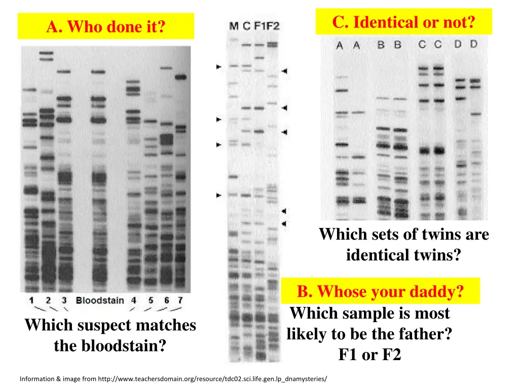 c identical or not