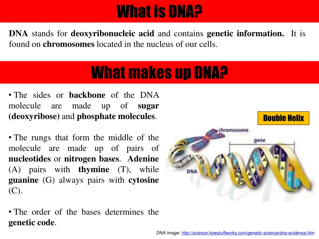 what is dna