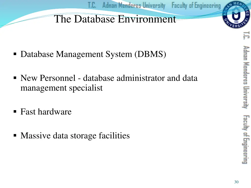 the database environment