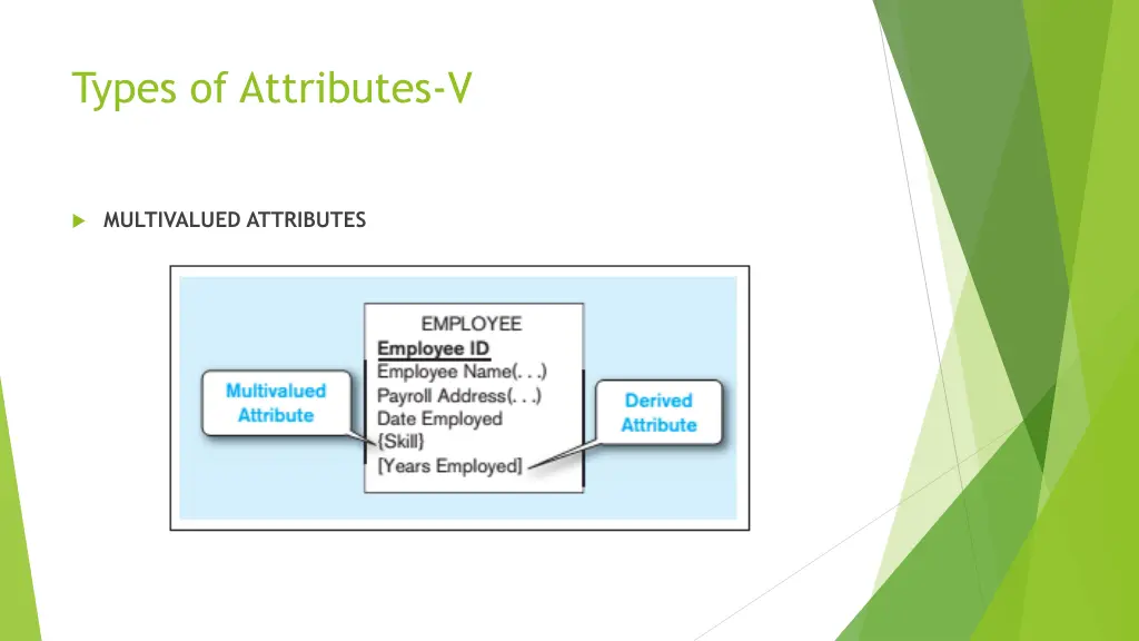 types of attributes v