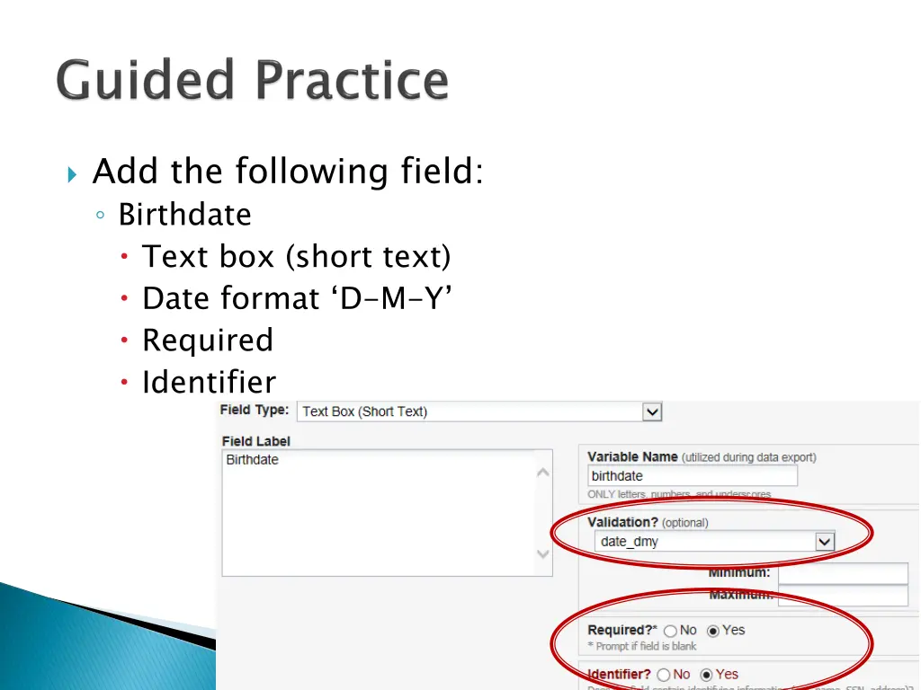 add the following field birthdate text box short