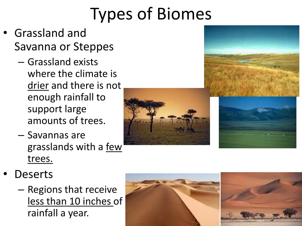 types of biomes 1