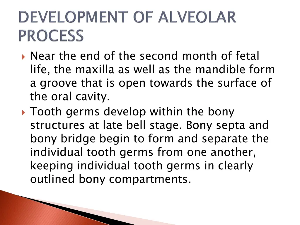 near the end of the second month of fetal life