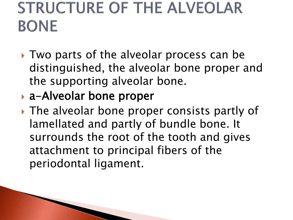 two parts of the alveolar process