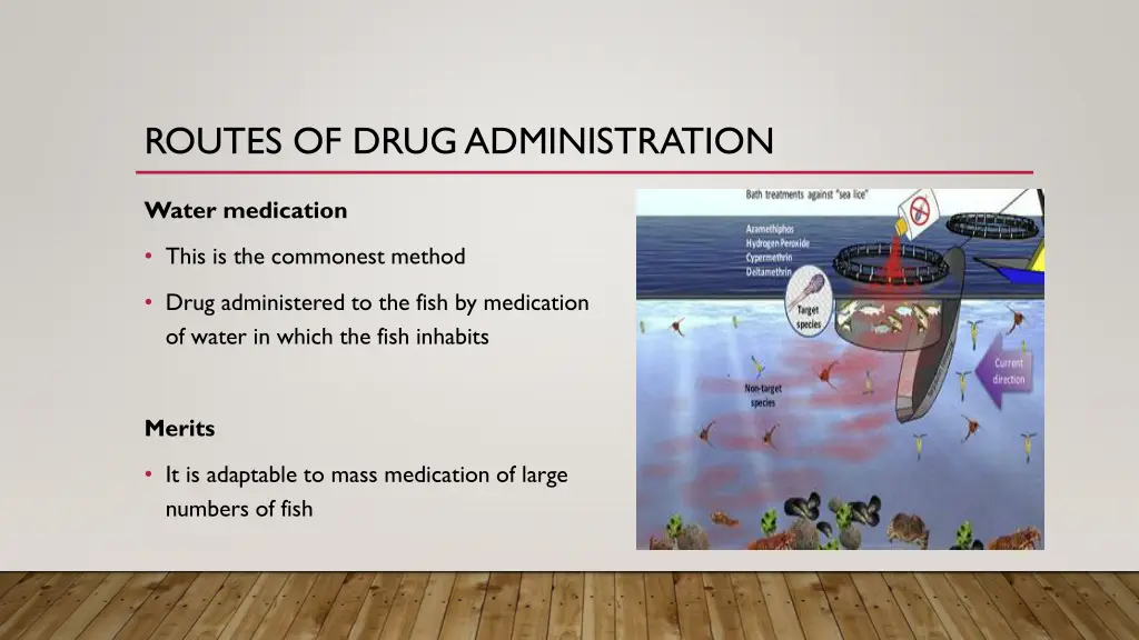 routes of drug administration 1