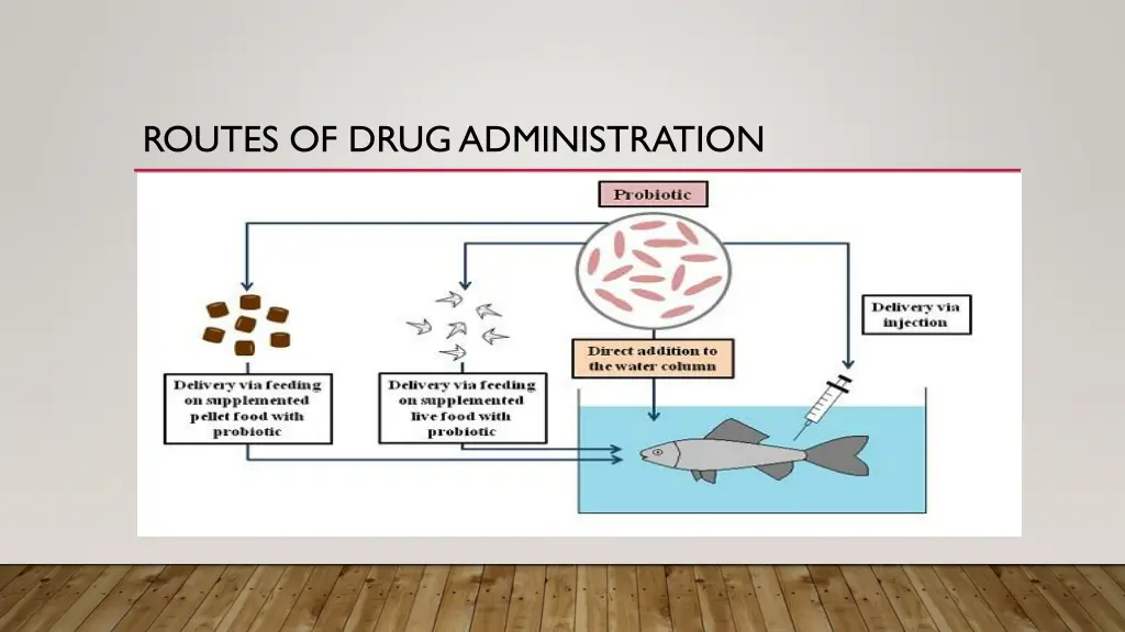 routes of drug administration