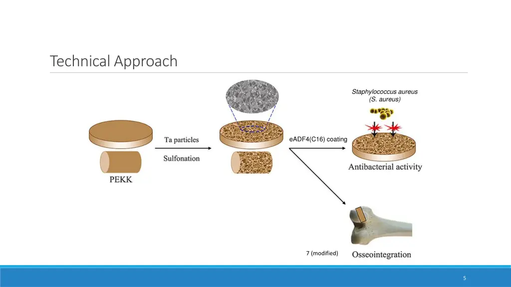 technical approach