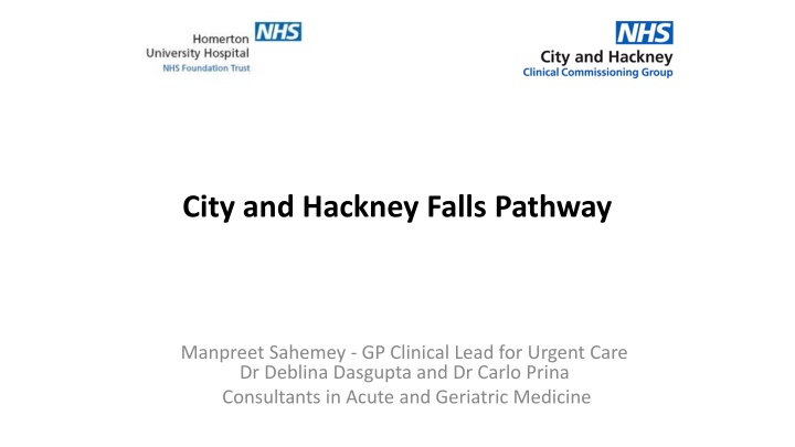 city and hackney falls pathway