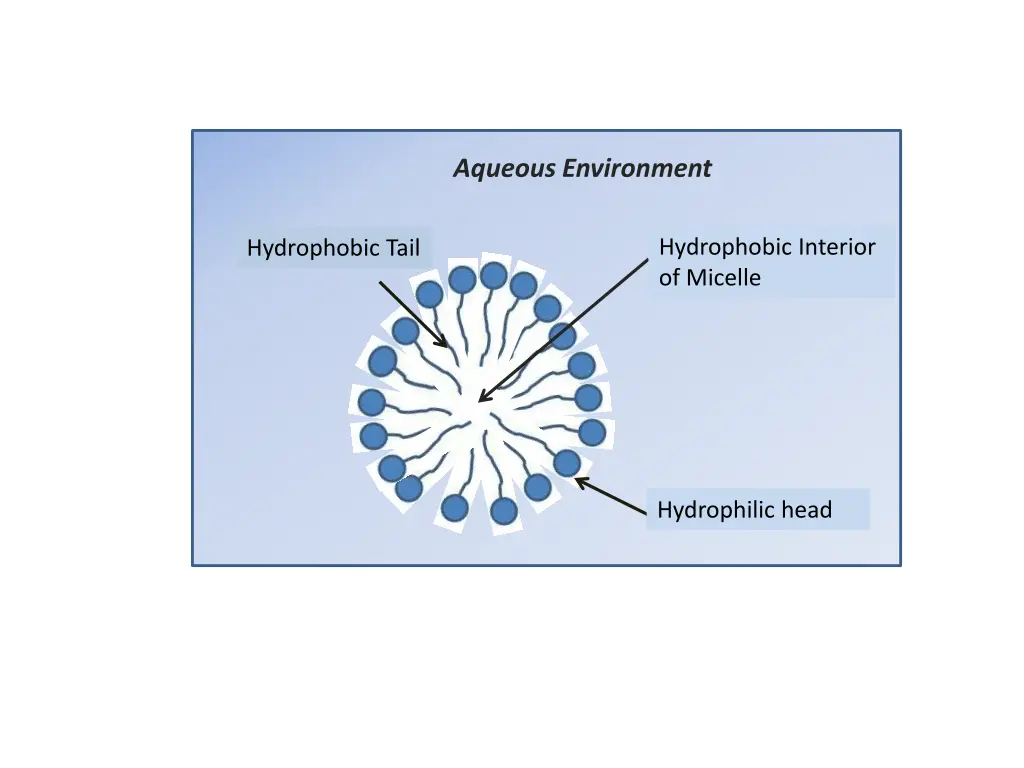 aqueous environment