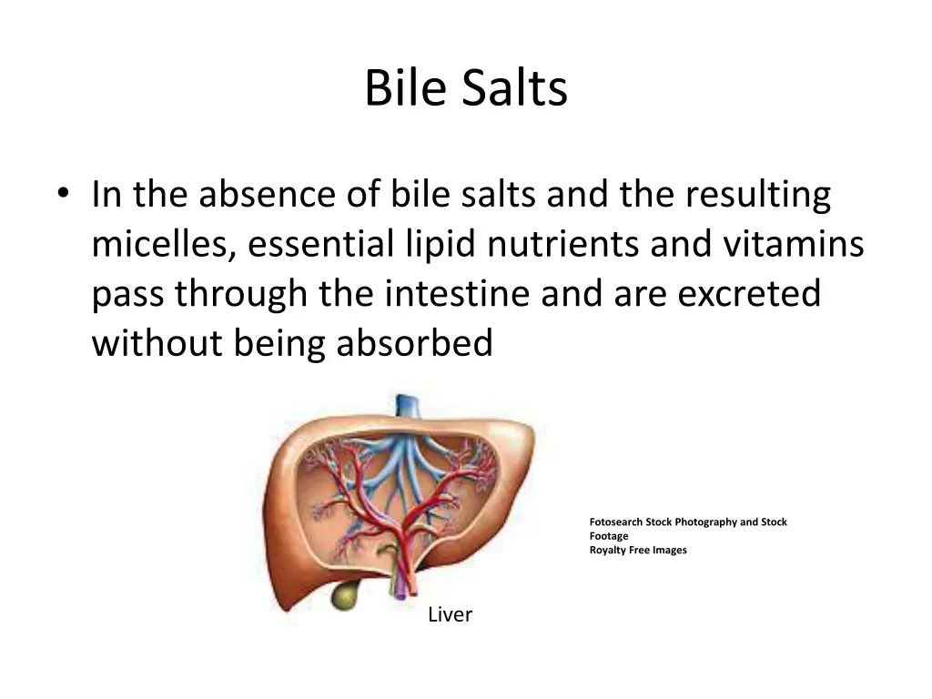 bile salts