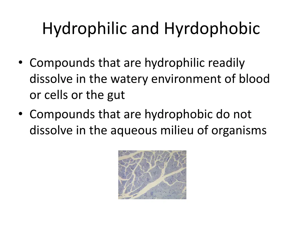 hydrophilic and hyrdophobic