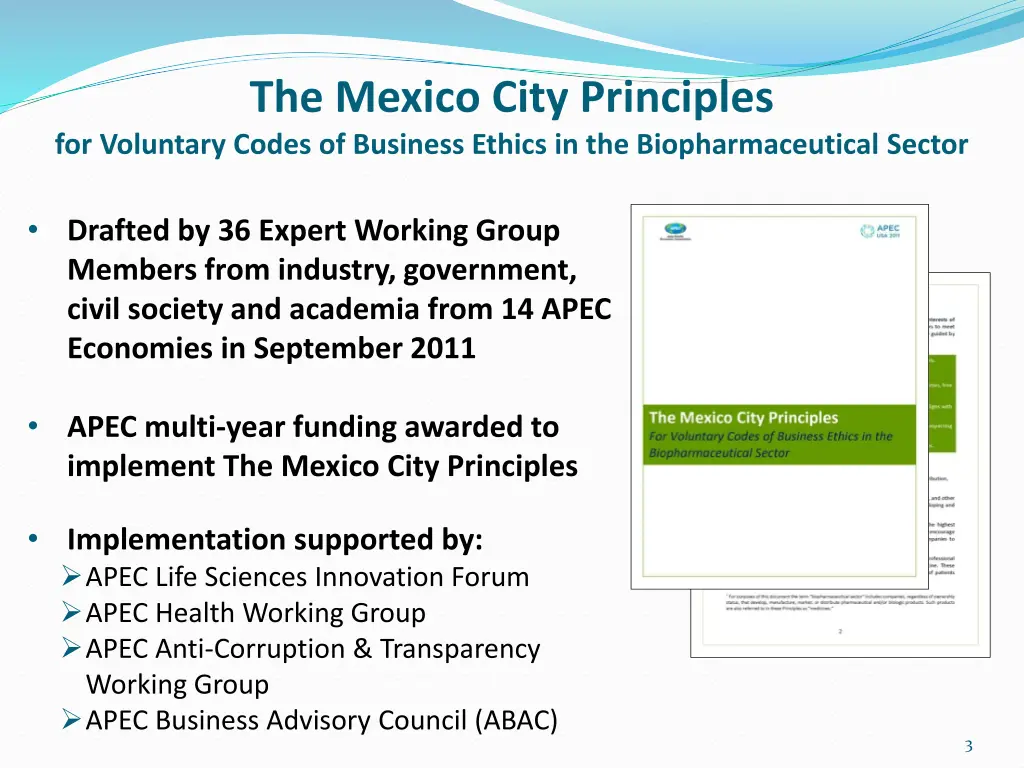 the mexico city principles for voluntary codes 1