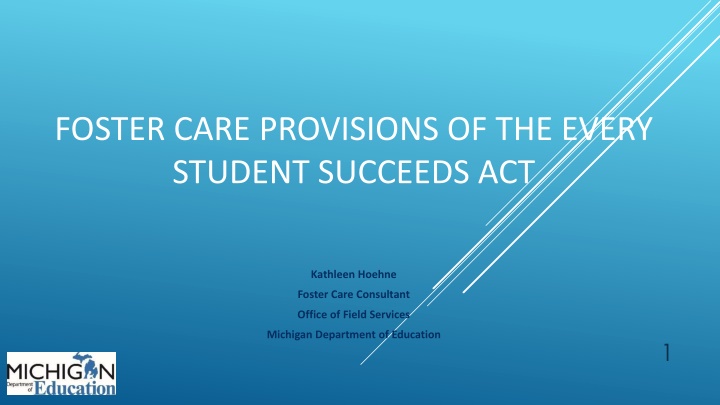 foster care provisions of the every student