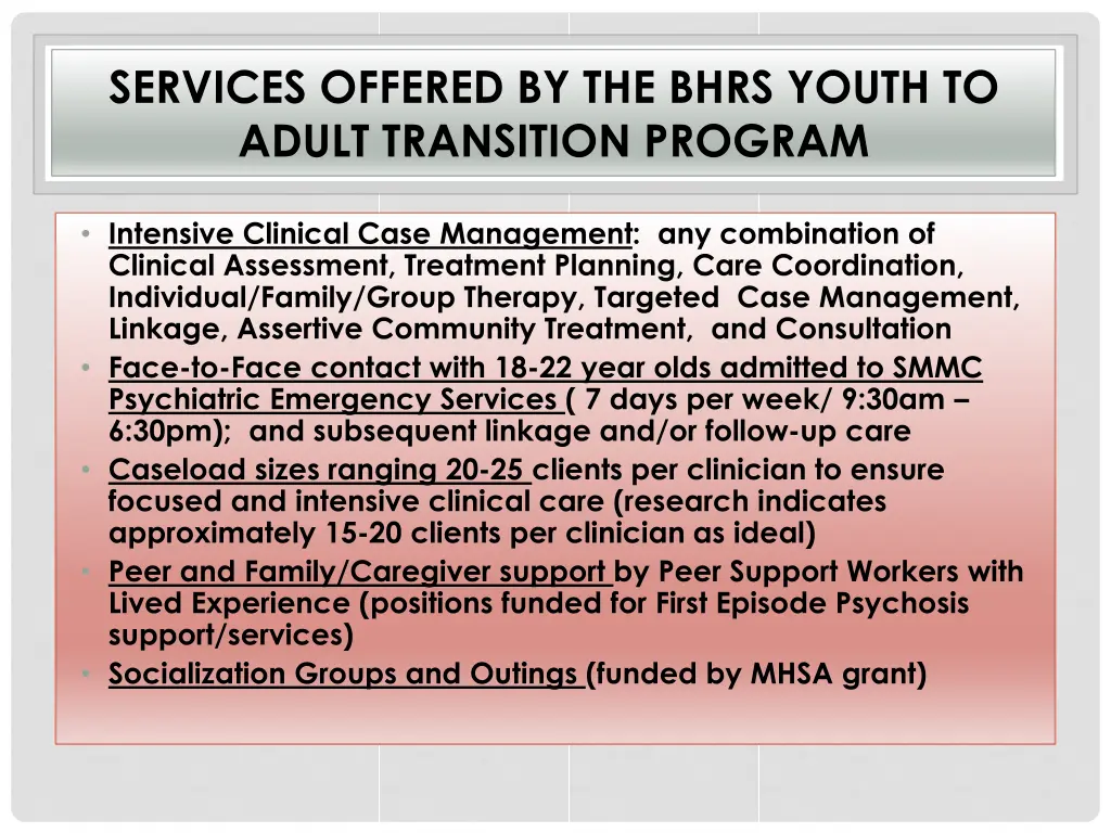 services offered by the bhrs youth to adult