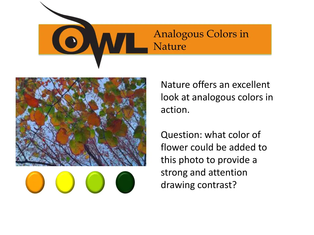 analogous colors in nature