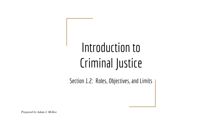 introduction to criminal justice