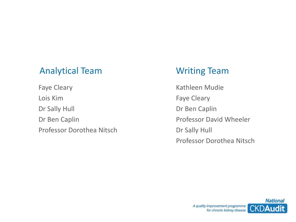 analytical team