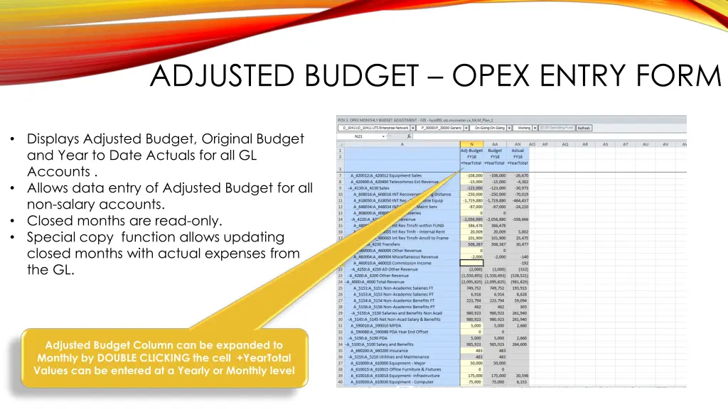 adjusted budget opex entry form