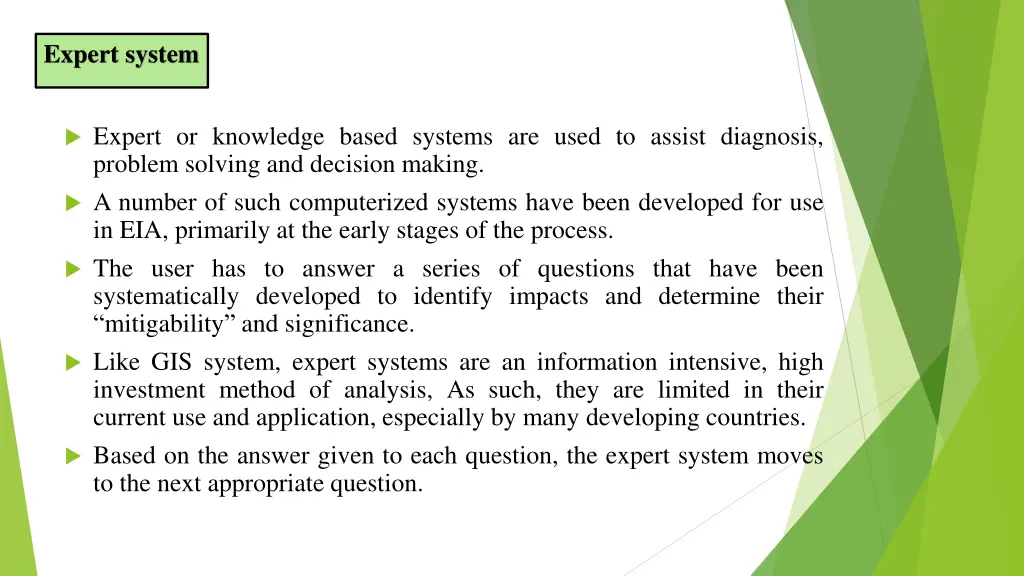 expert system