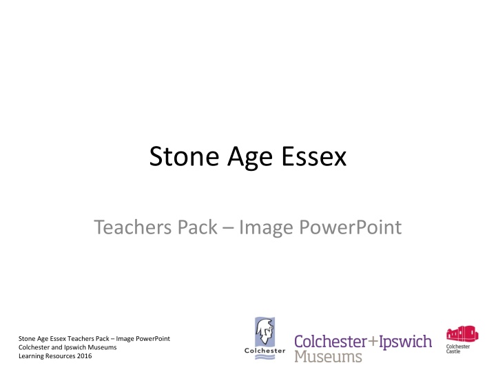 stone age essex