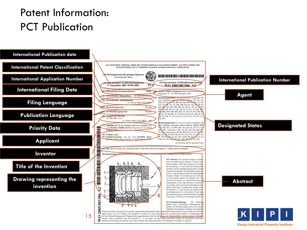 patent information pct publication