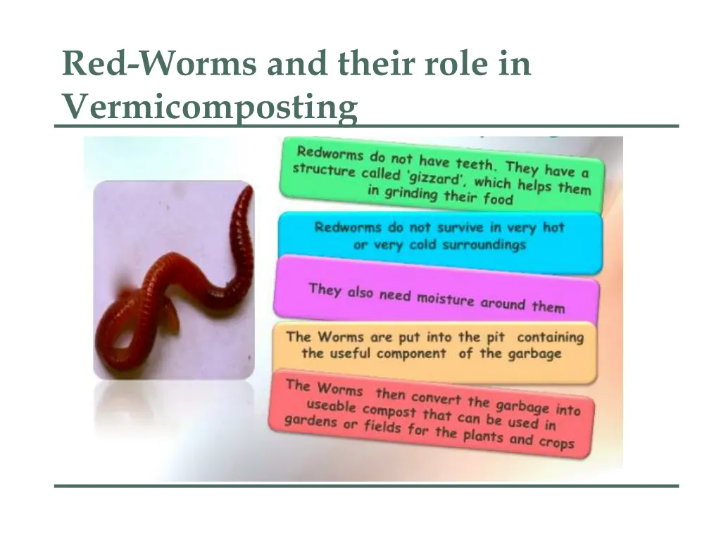 red worms and their role in vermicomposting