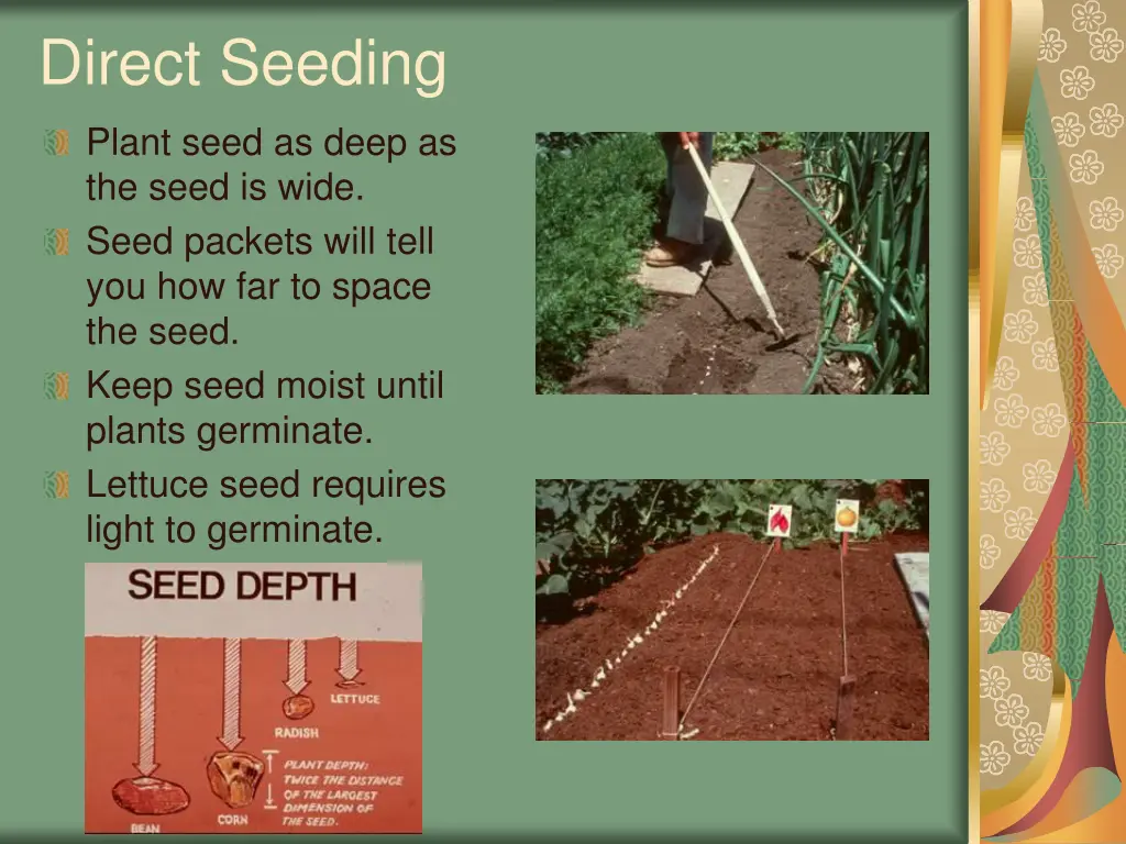 direct seeding