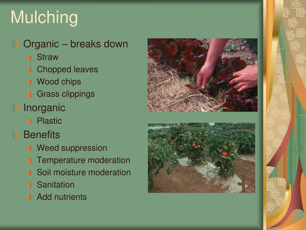 mulching