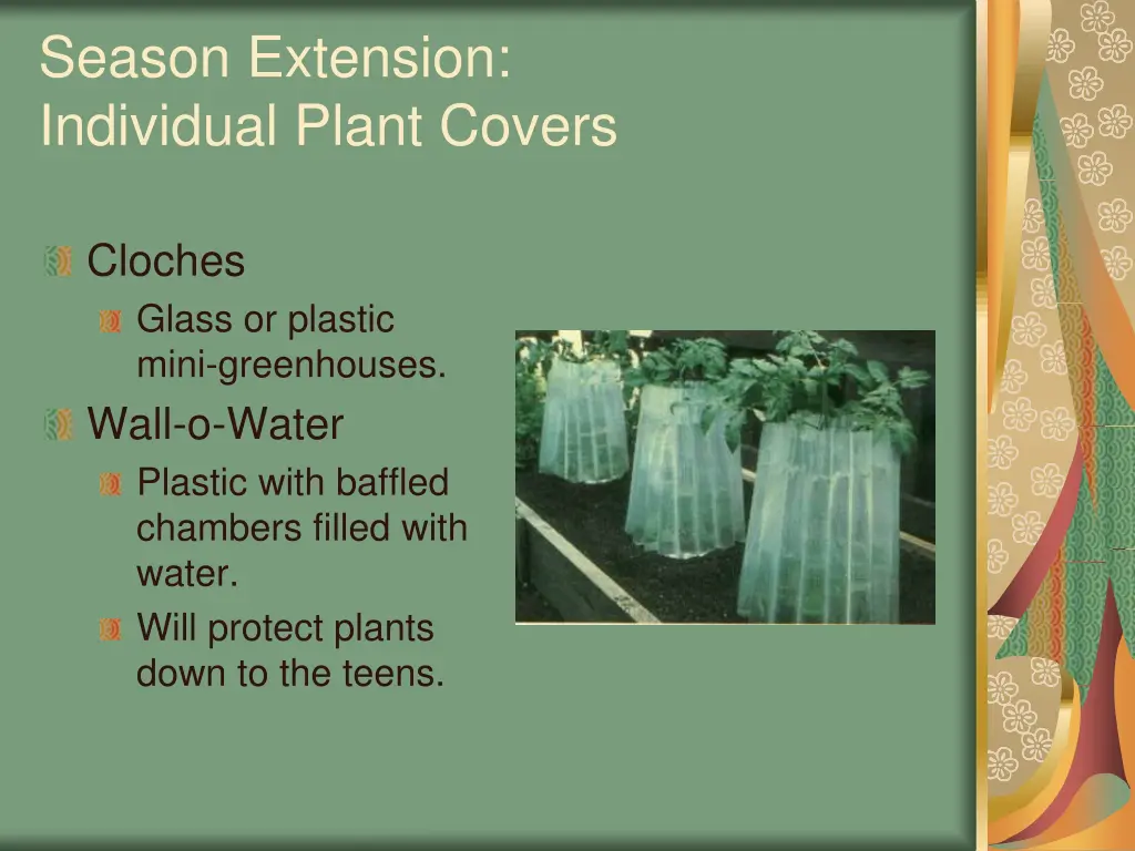 season extension individual plant covers