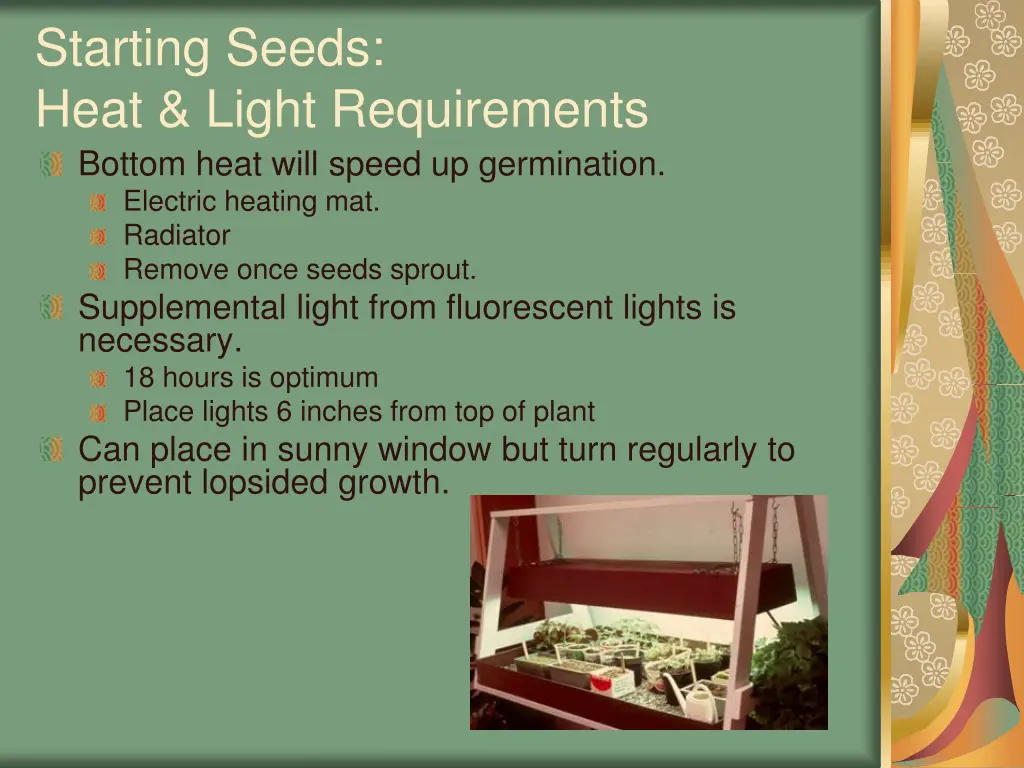 starting seeds heat light requirements bottom