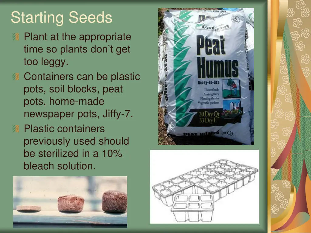 starting seeds plant at the appropriate time