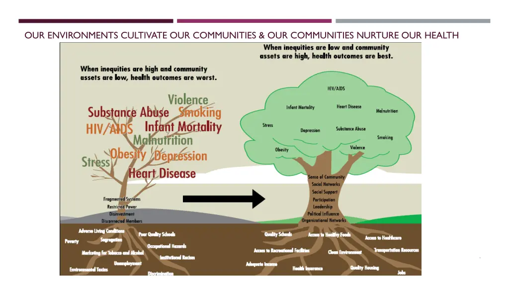 our environments cultivate our communities