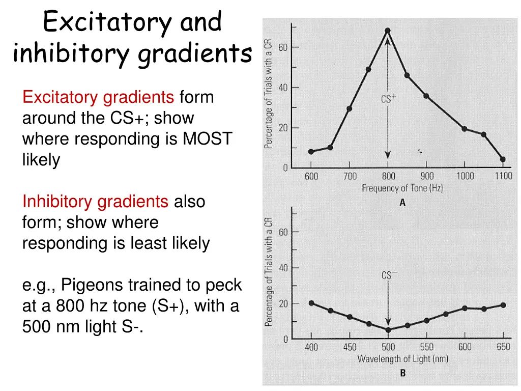 excitatory and inhibitory gradients