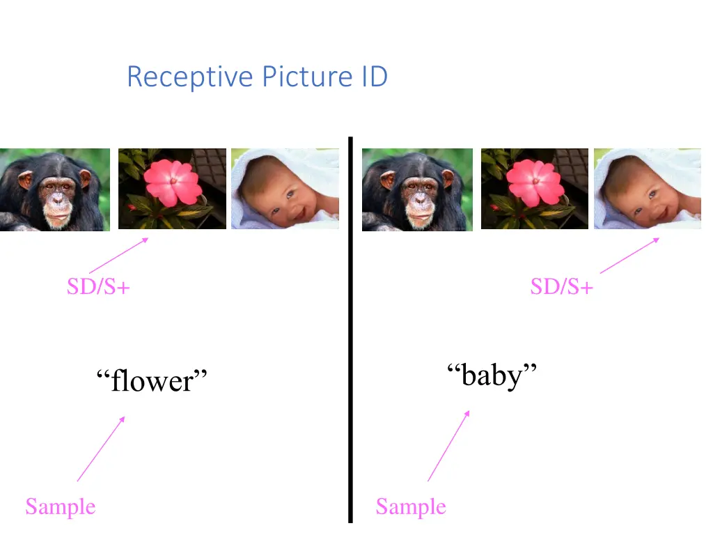 receptive picture id