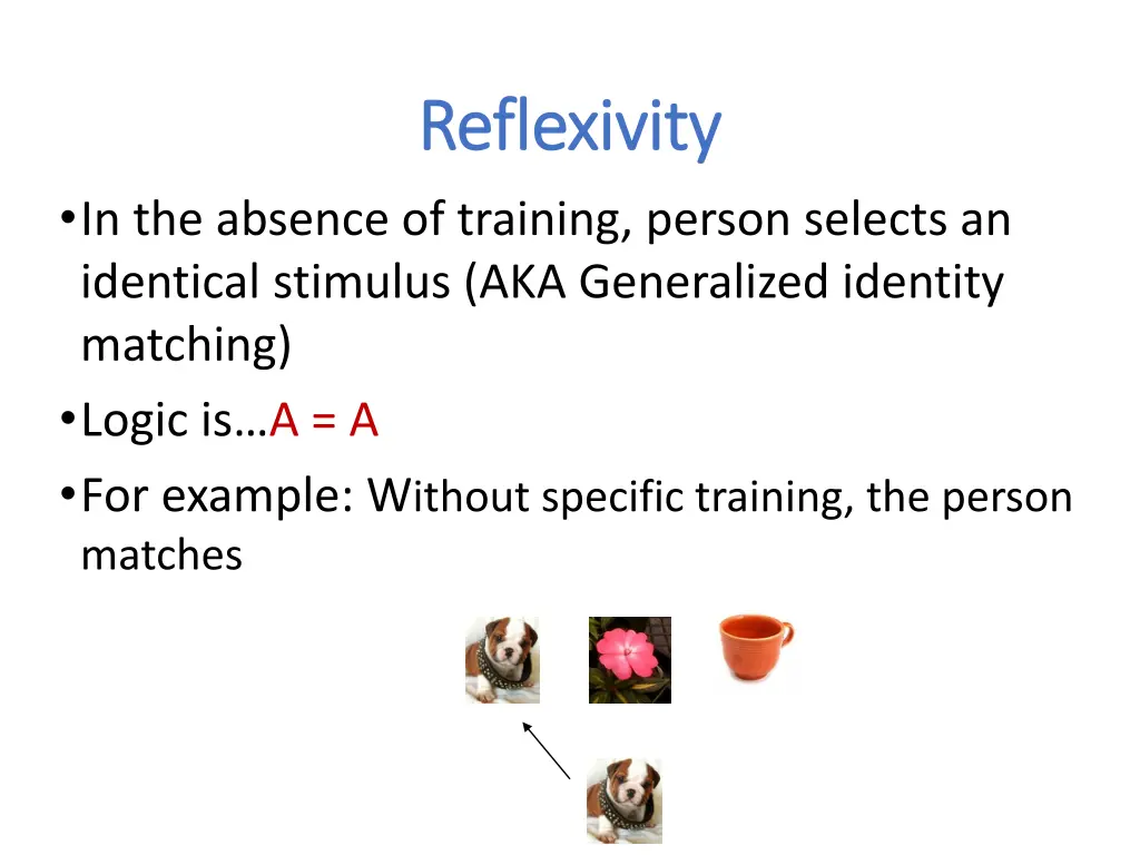 reflexivity reflexivity