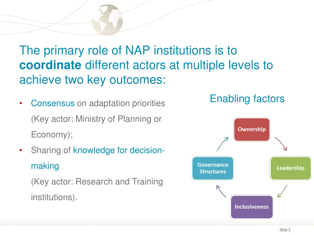 the primary role of nap institutions