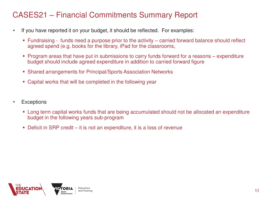 cases21 financial commitments summary report 1