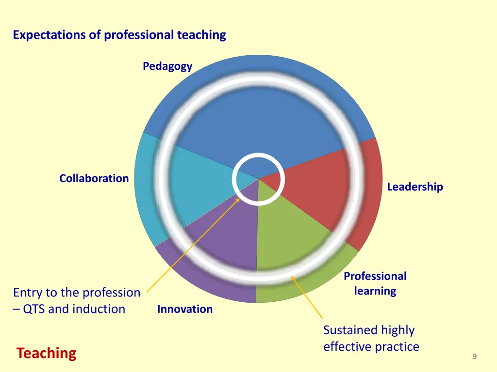 expectations of professional teaching