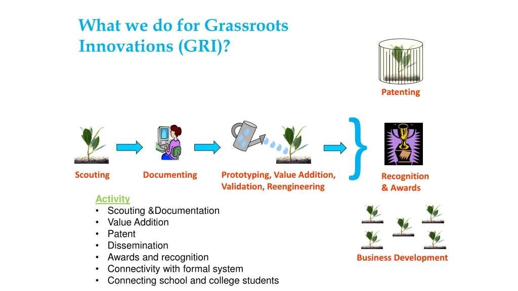 what we do for grassroots innovations gri