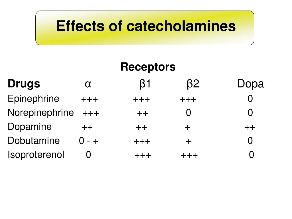 effects of catecholamines