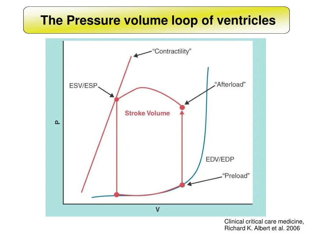 the pressure volume loop of ventricles