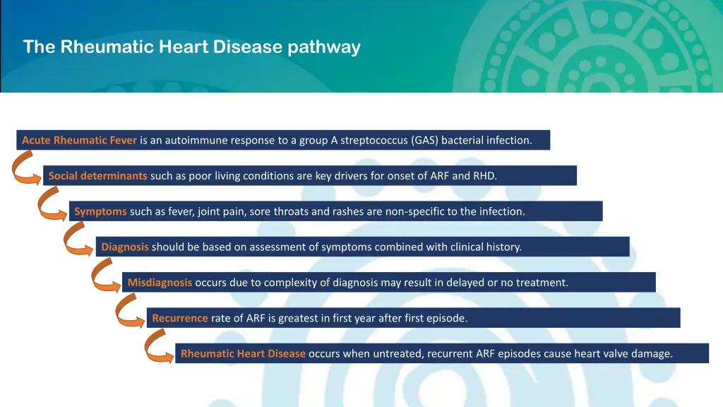 the rheumatic heart disease pathway