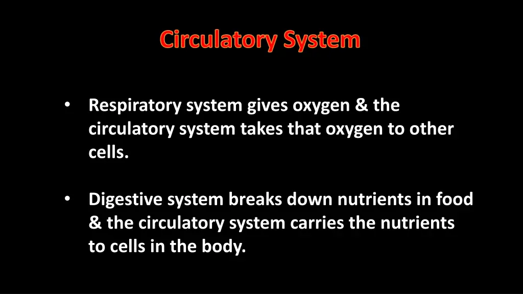 circulatory system 3