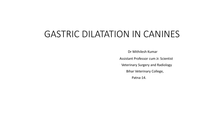 gastric dilatation in canines