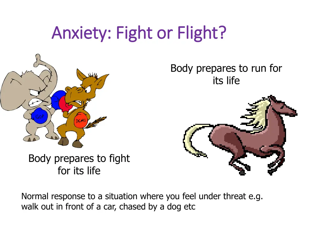 anxiety fight or flight anxiety fight or flight